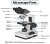 Microscope-Diagram1.jpg 2.9K