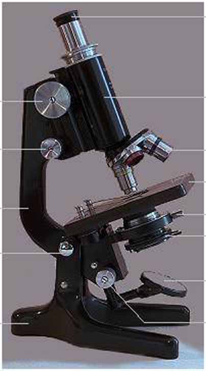 classic_microscopy.jpg 40.8K