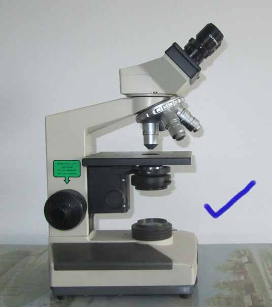 microscope02.jpg 38.0K