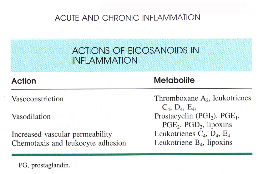 Inflammation_pic16.jpg 389.4K