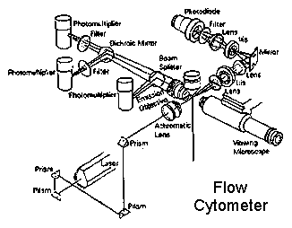 Flow cytometer