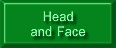 Head_and_Face