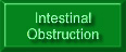 Intestinal_Obstruction
