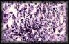 10spermaticgranuloma3.jpg 3.5K