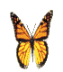 Butter~8_2.gif (7456 bytes)