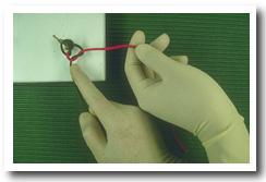 Twosecond8.jpg (19371 bytes)