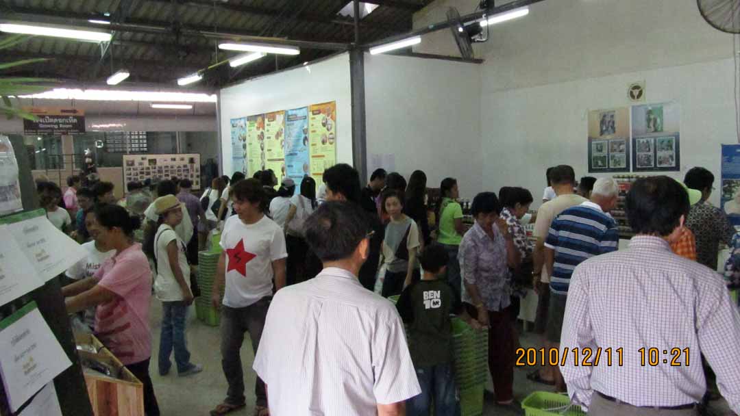 wangnamkeaw_farm_16.JPG 83.9K