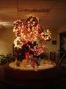 DSC00139.jpg 2.4K
