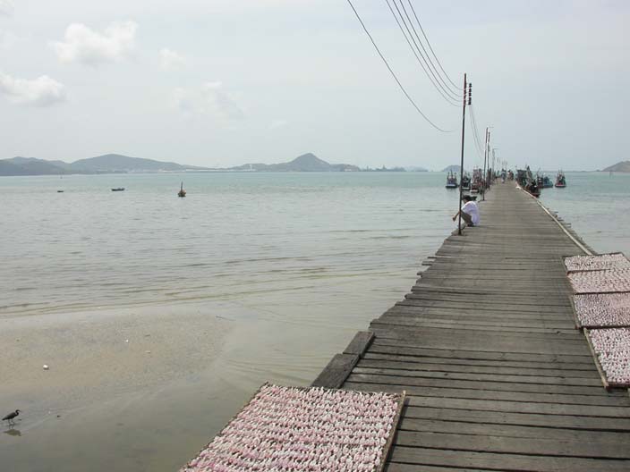 DSCN0822.JPG 59.0K